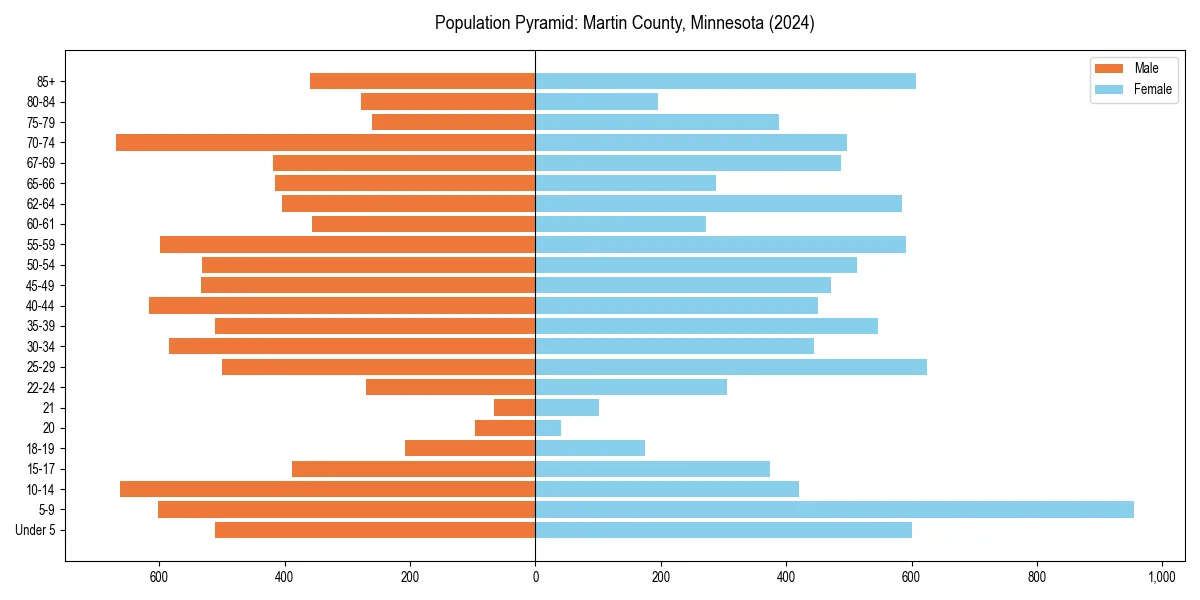 Population pyramid for 