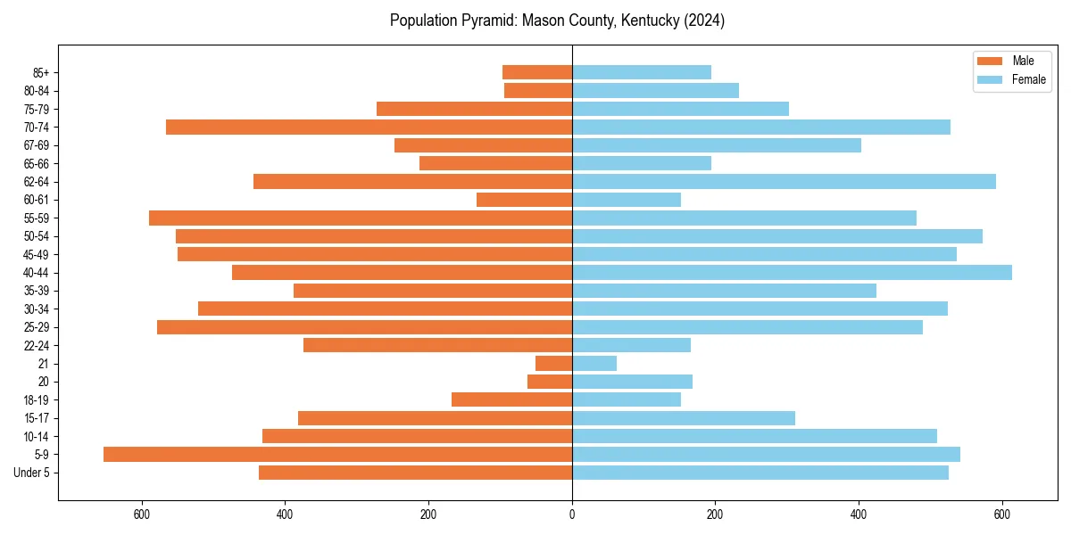 Population pyramid for 