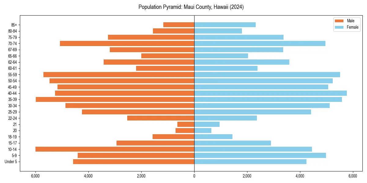 Population pyramid for 