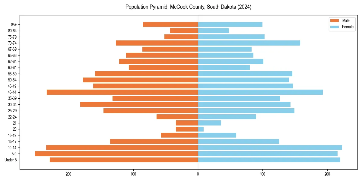 Population pyramid for 