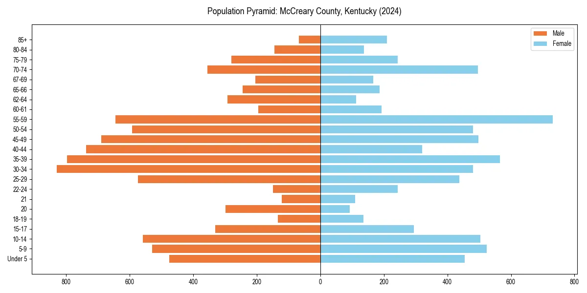 Population pyramid for 