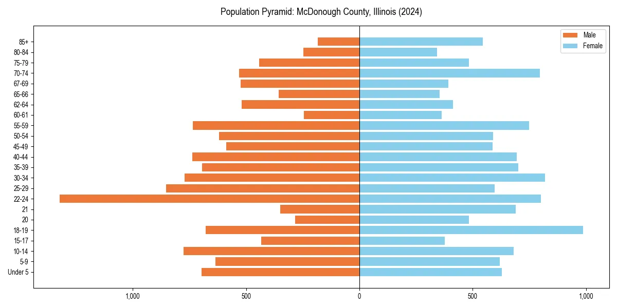 Population pyramid for 