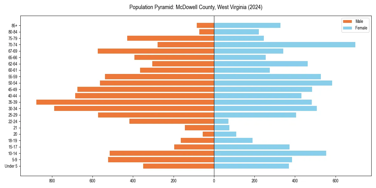 Population pyramid for 