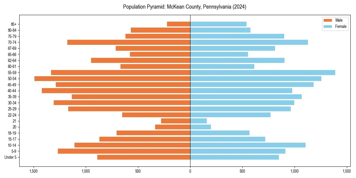 Population pyramid for 