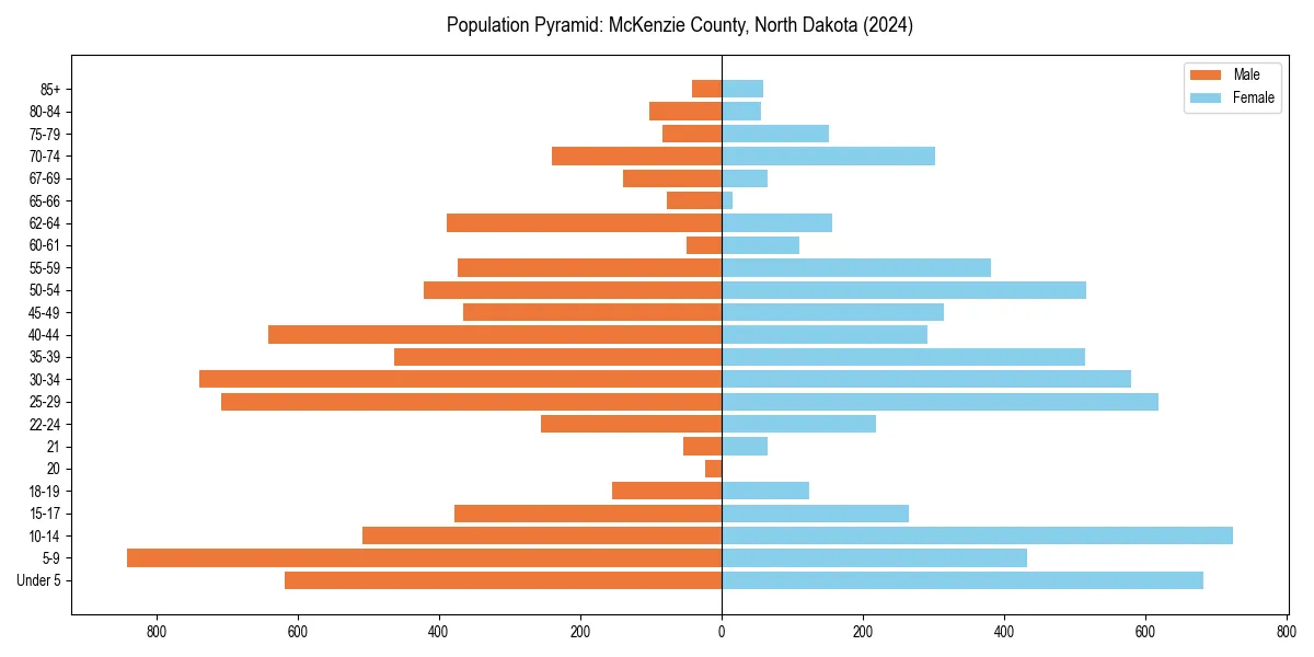 Population pyramid for 