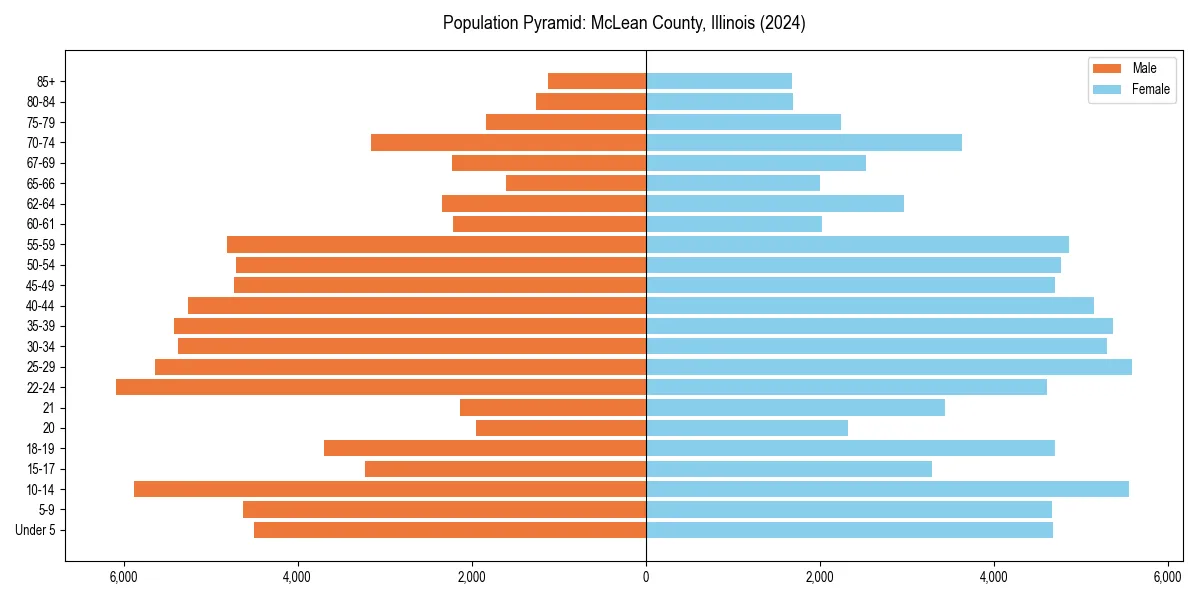 Population pyramid for 