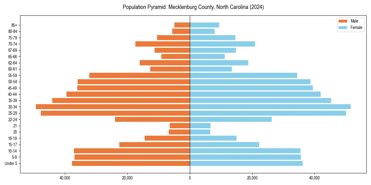 Population pyramid for 