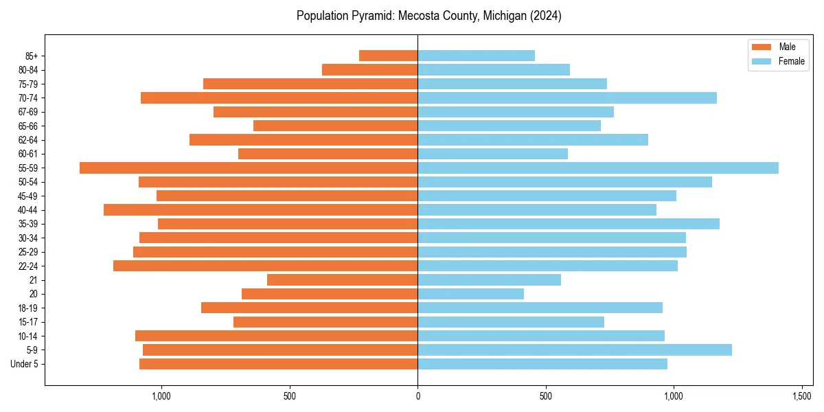 Population pyramid for 