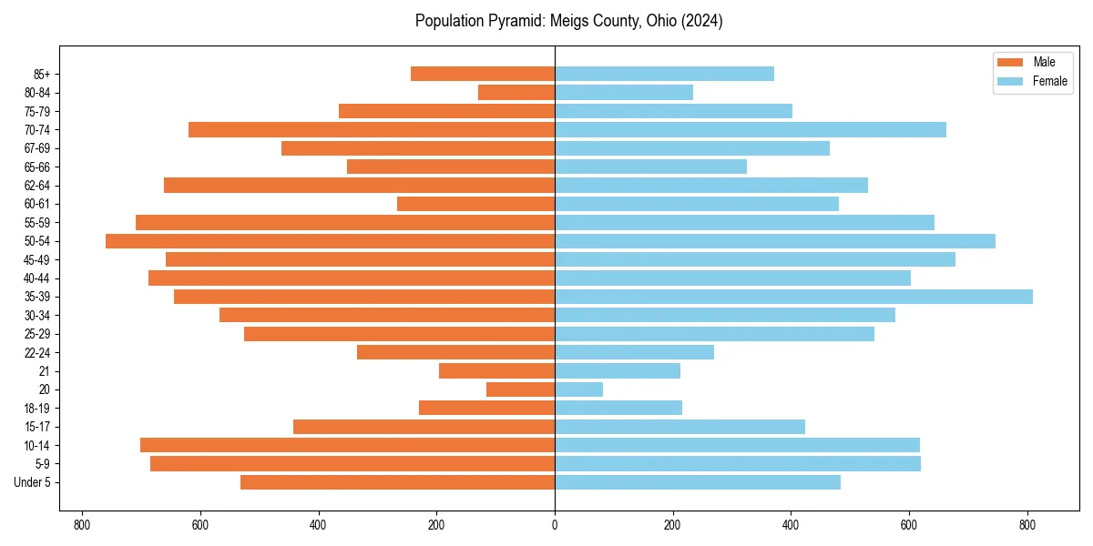 Population pyramid for 