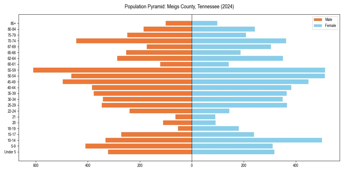 Population pyramid for 