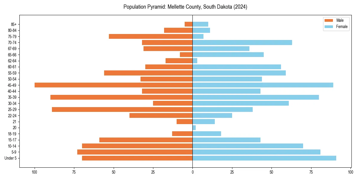 Population pyramid for 