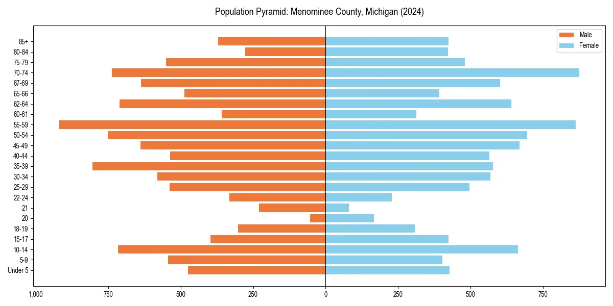 Population pyramid for 