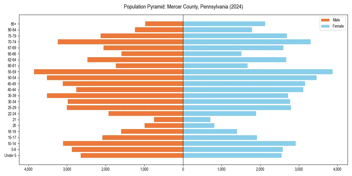 Population pyramid for 