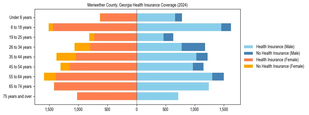 Health insurance pyramid for Meriwether County, Georgia