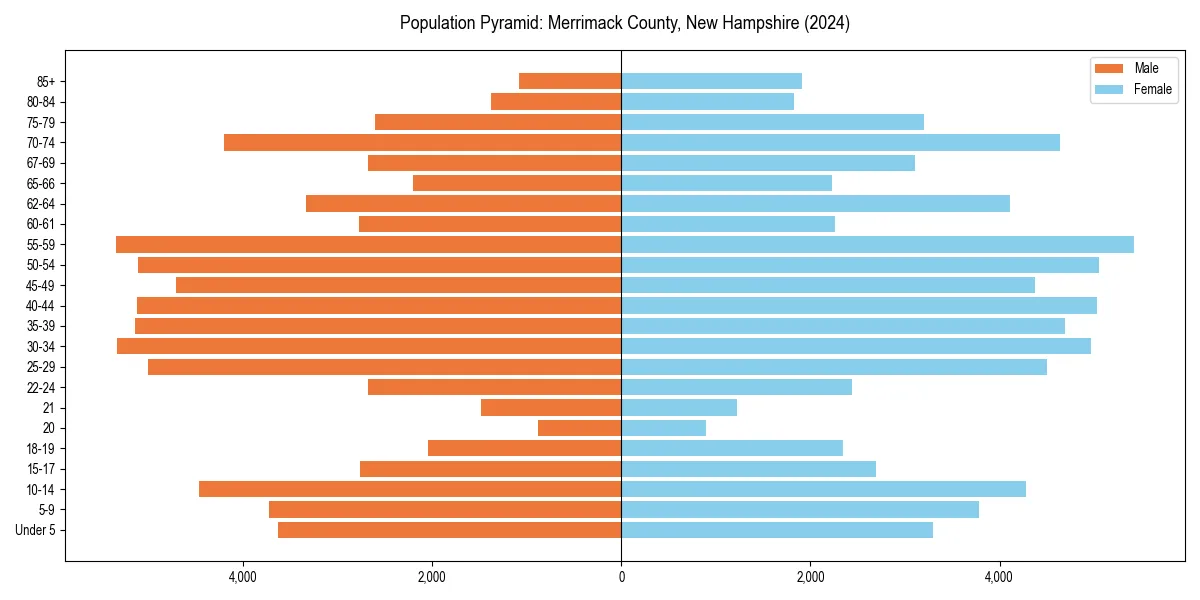 Population pyramid for 