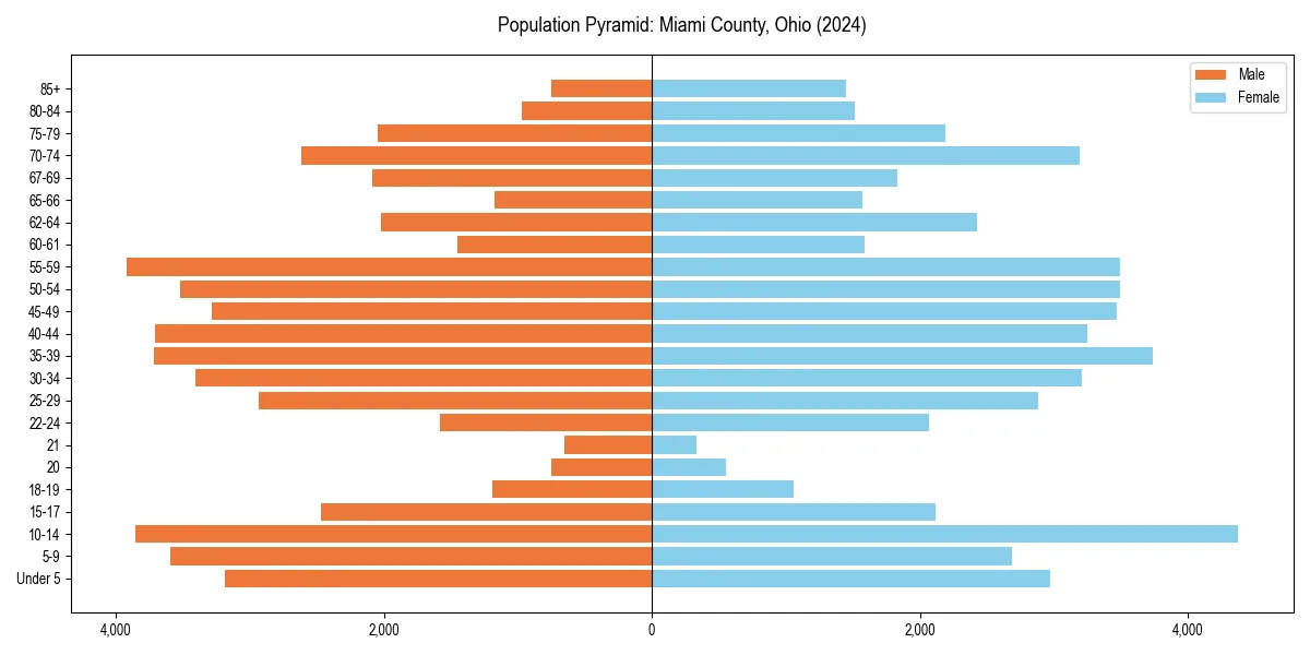 Population pyramid for 