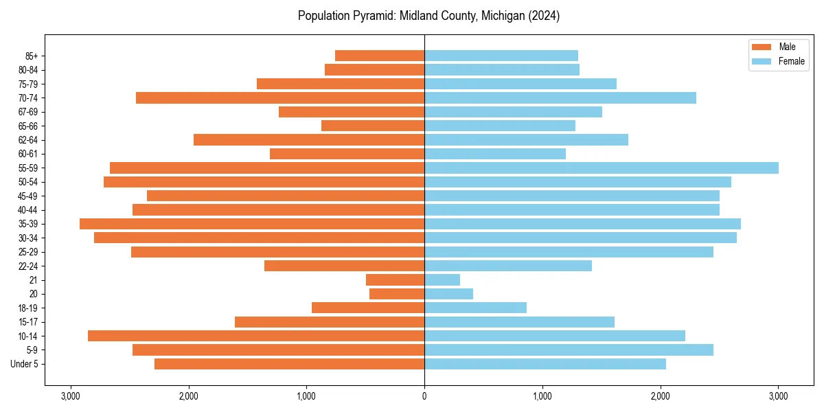 Population pyramid for 
