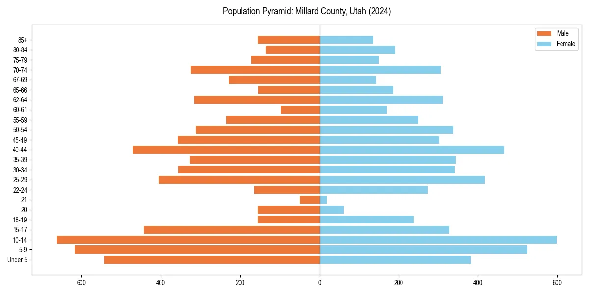 Population pyramid for 
