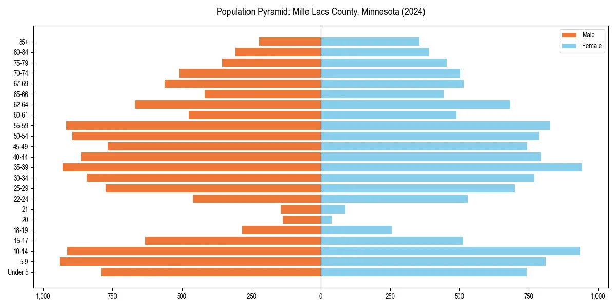 Population pyramid for 