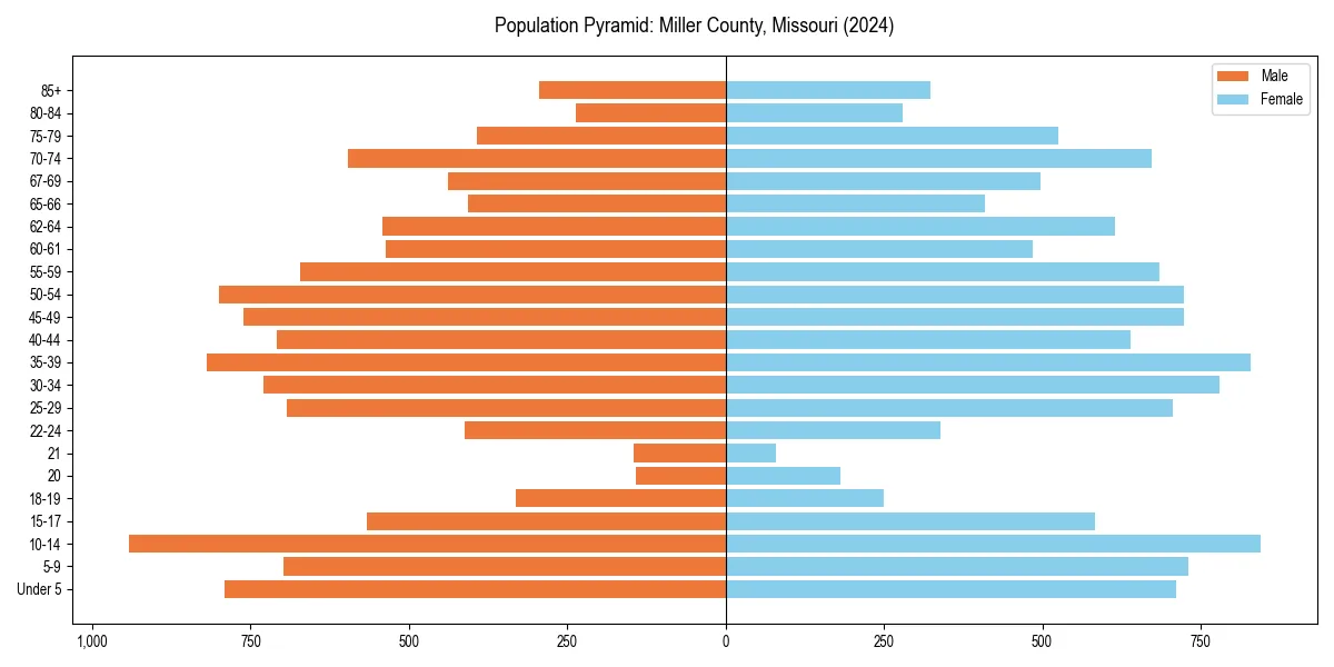 Population pyramid for 