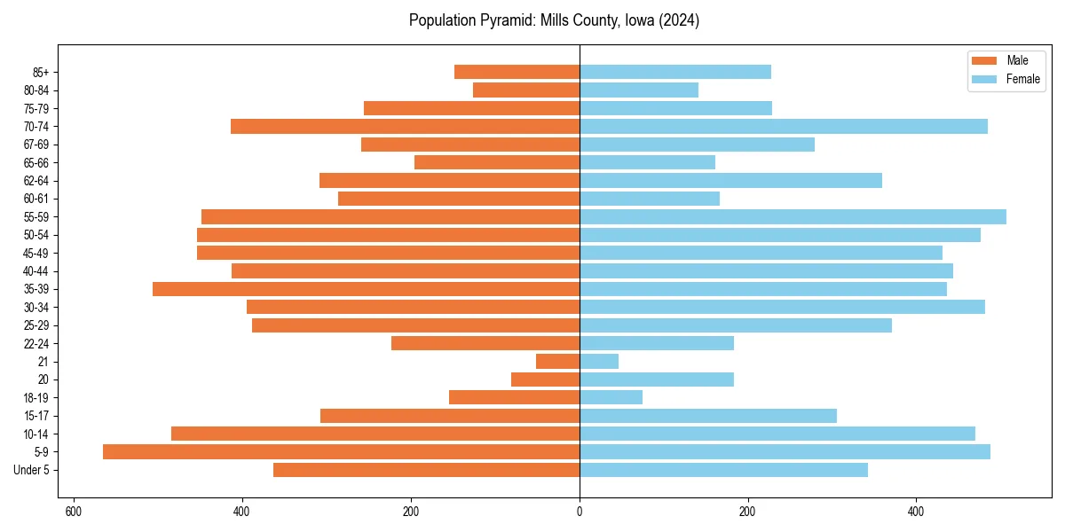 Population pyramid for 