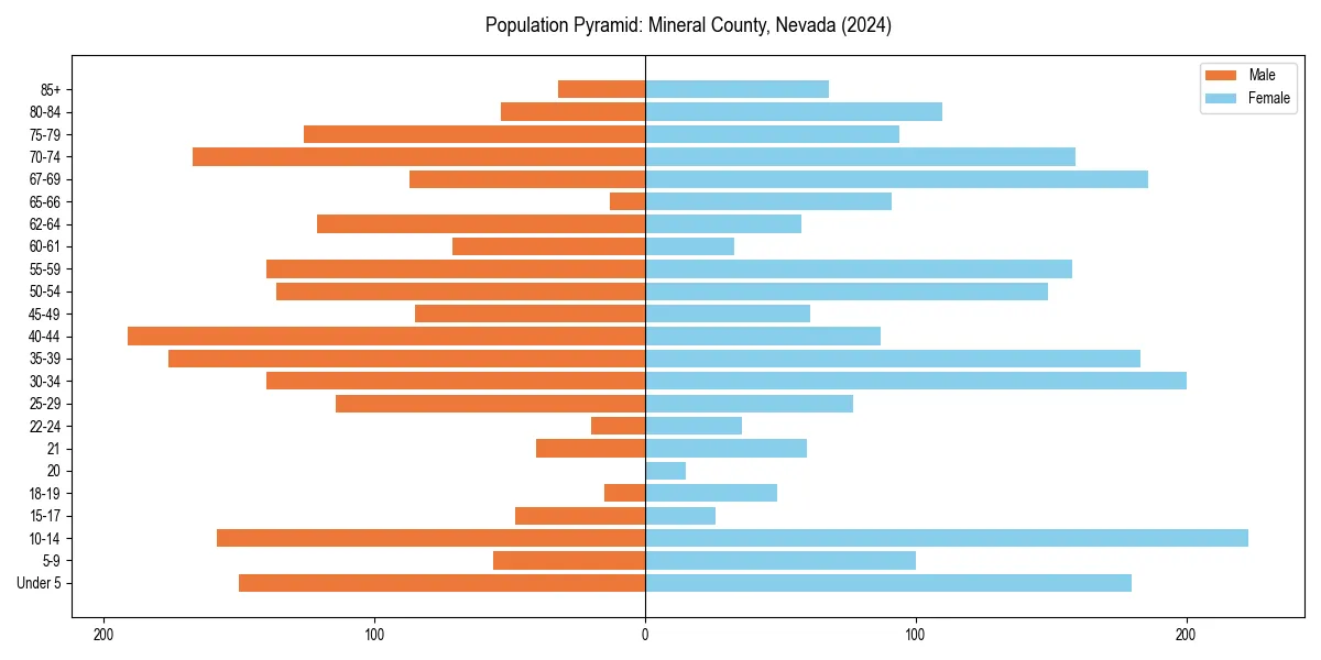 Population pyramid for 