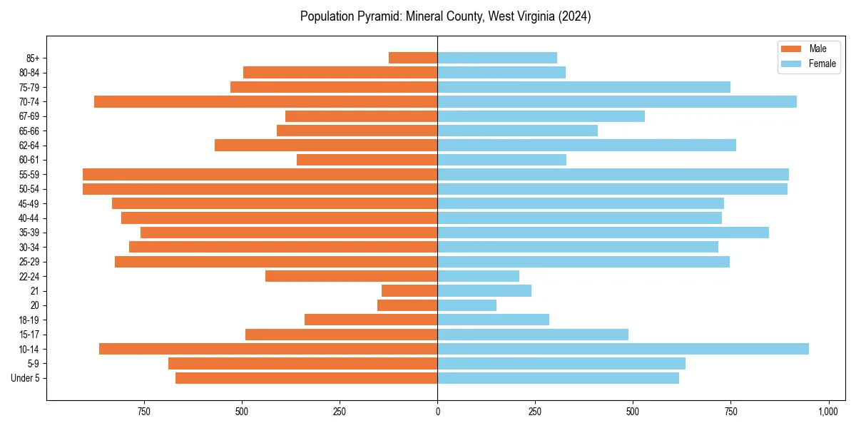 Population pyramid for 