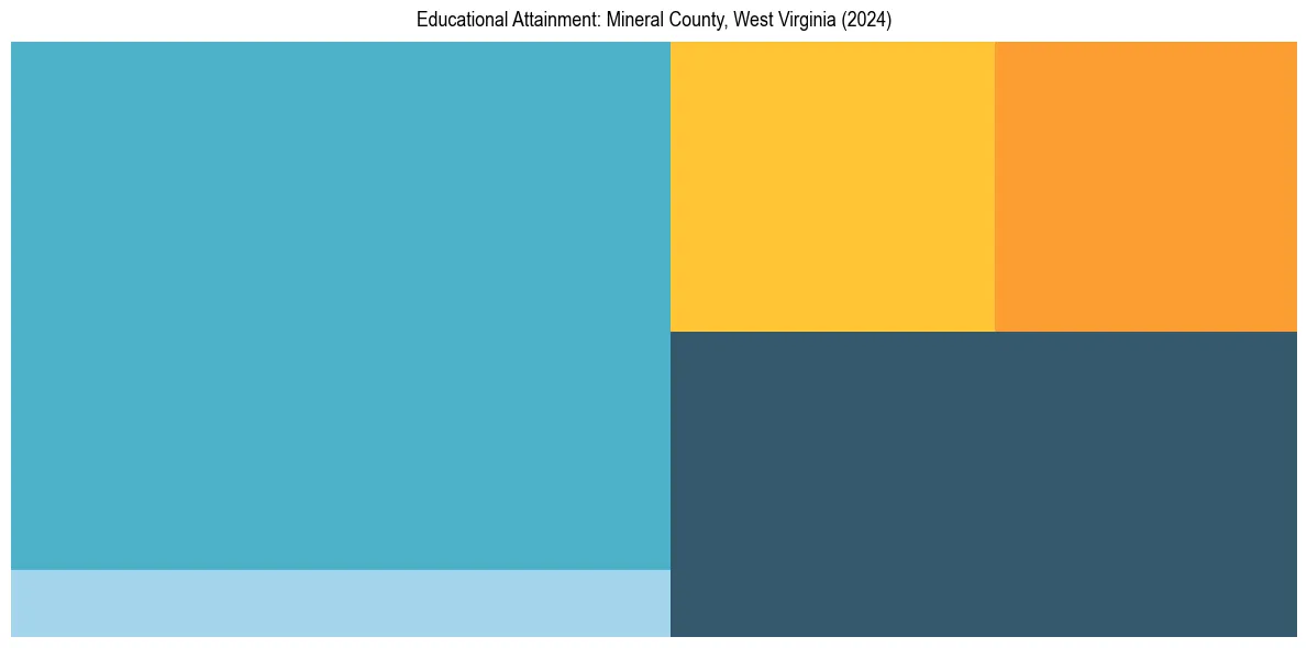 Education Treemap for  in 2024
