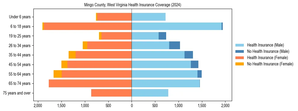 Health insurance pyramid for Mingo County, West Virginia