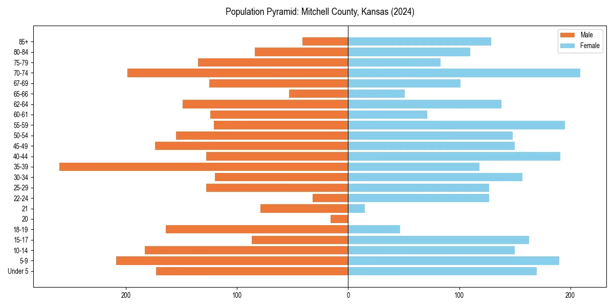 Population pyramid for 
