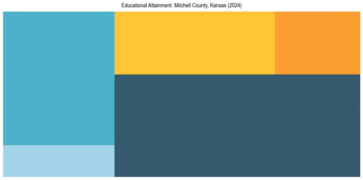 Education Treemap for  in 2024
