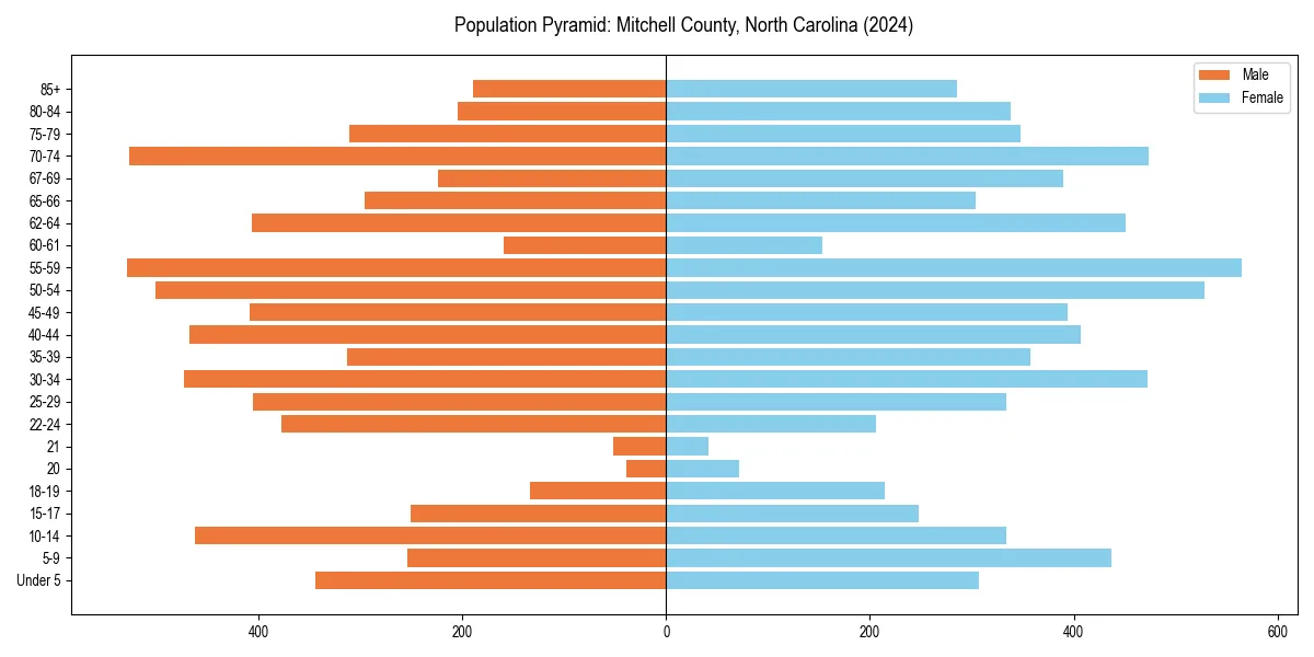 Population pyramid for 