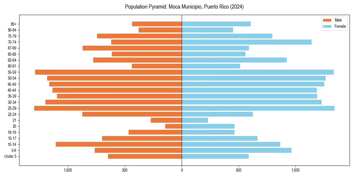 Population pyramid for 