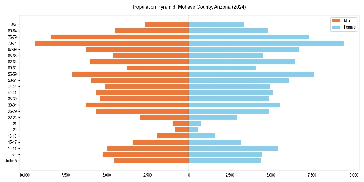 Population pyramid for 