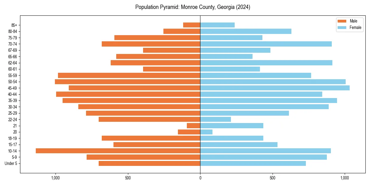 Population pyramid for 