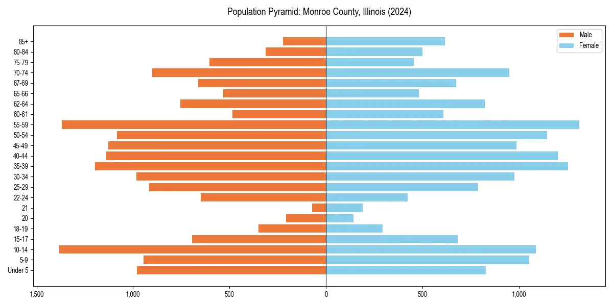 Population pyramid for 