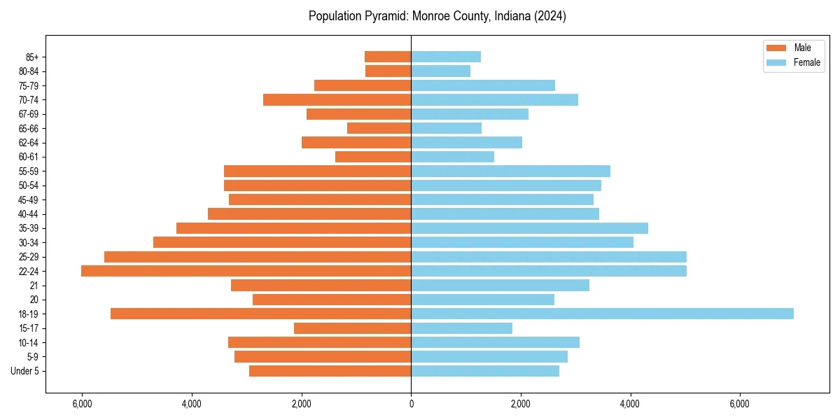 Population pyramid for 