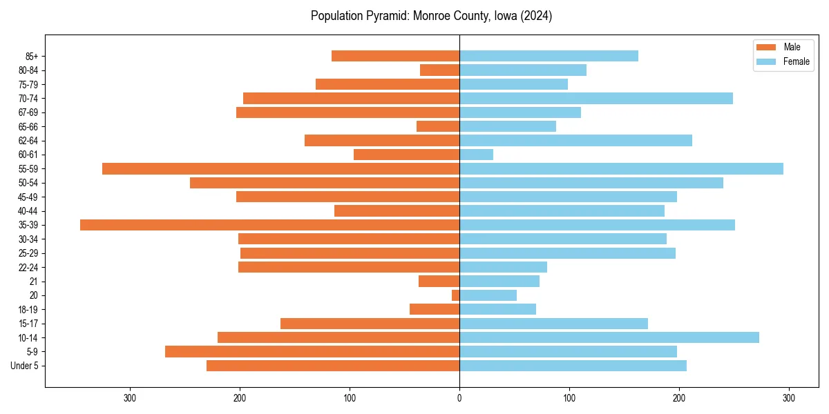 Population pyramid for 
