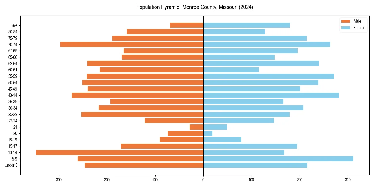 Population pyramid for 