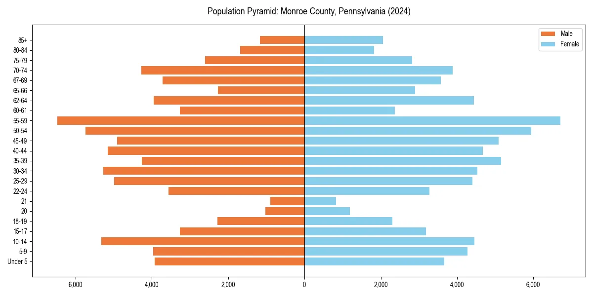 Population pyramid for 