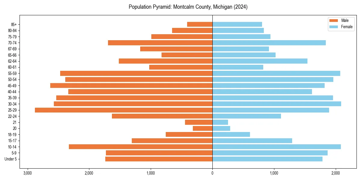 Population pyramid for 