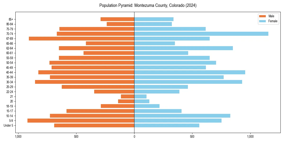 Population pyramid for 