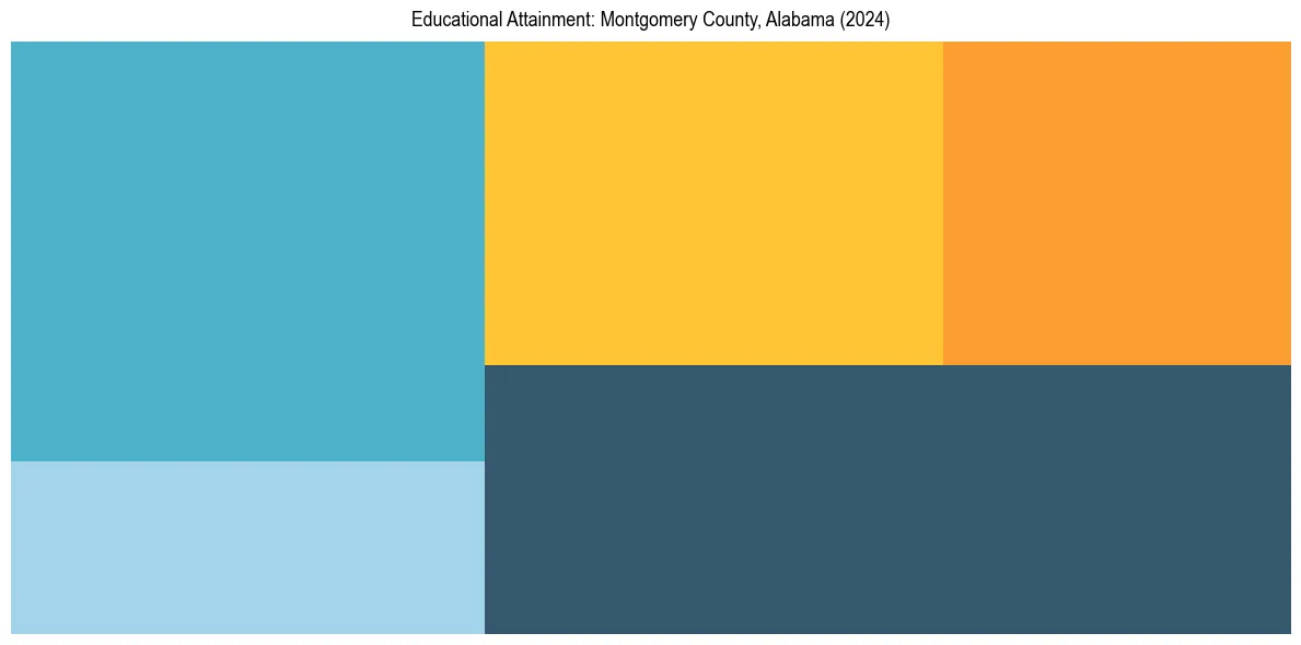 Education Treemap for  in 2024