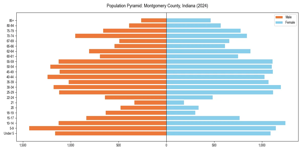 Population pyramid for 