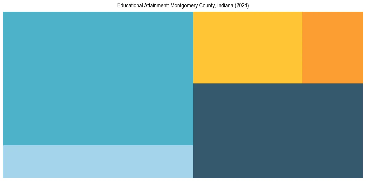 Education Treemap for  in 2024