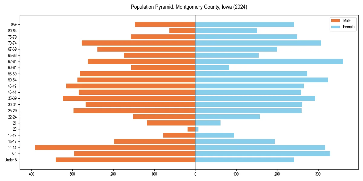 Population pyramid for 
