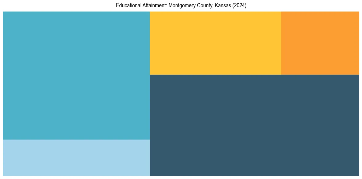 Education Treemap for  in 2024
