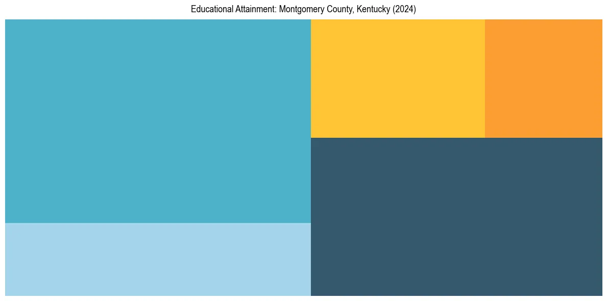 Education Treemap for  in 2024