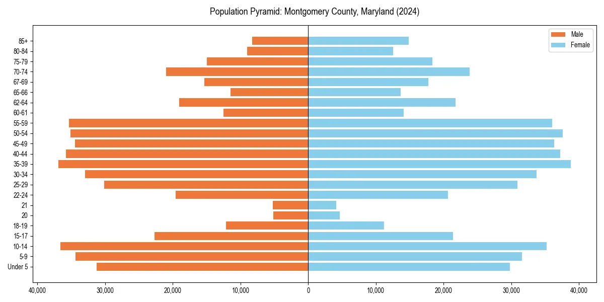 Population pyramid for 