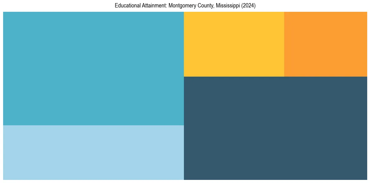 Education Treemap for  in 2024